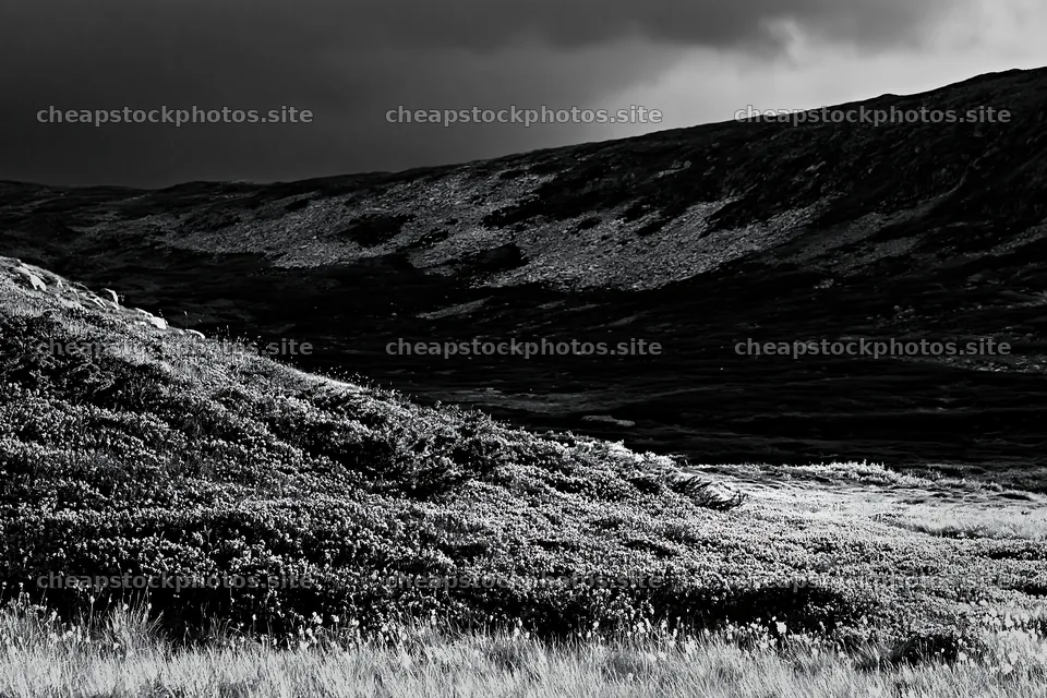 Jotunheimen valley meadow with sunbeams and dark clouds – stock photos 9722x6480