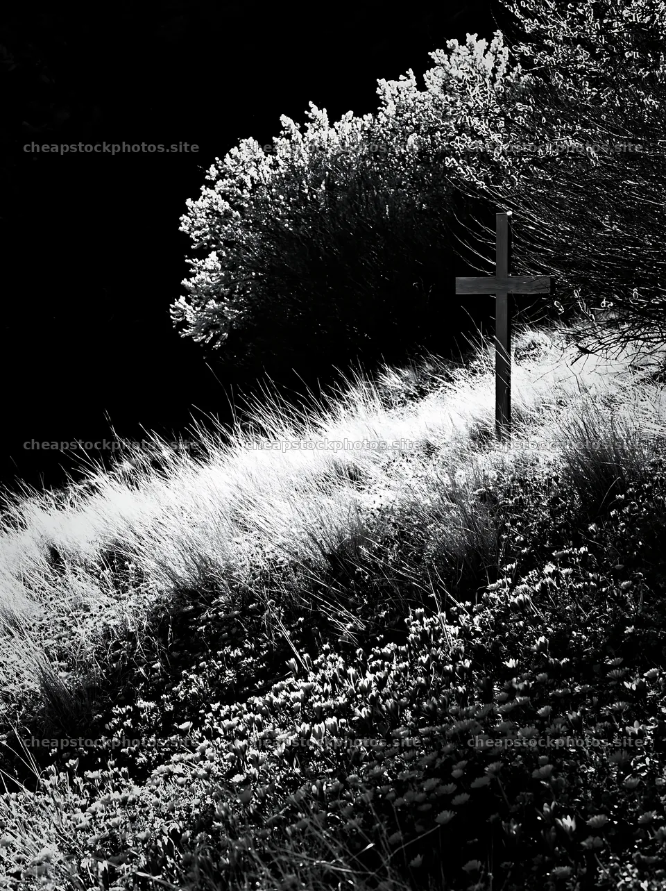 Christian cross in winter meadow grasses – stock photos 6866x9174