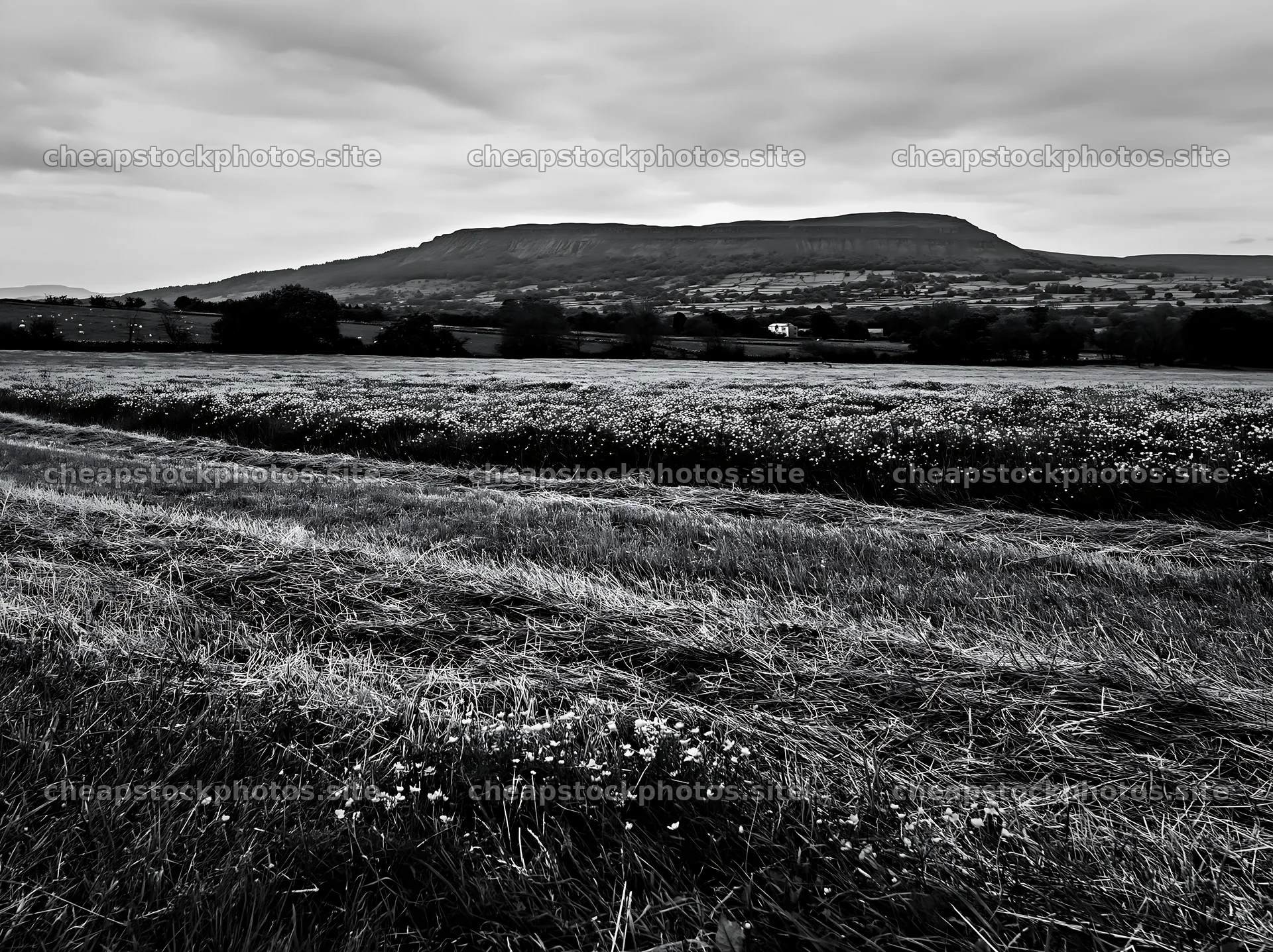 Yorkshire Dales meadows with hills in the background – stock photos 9174x6866