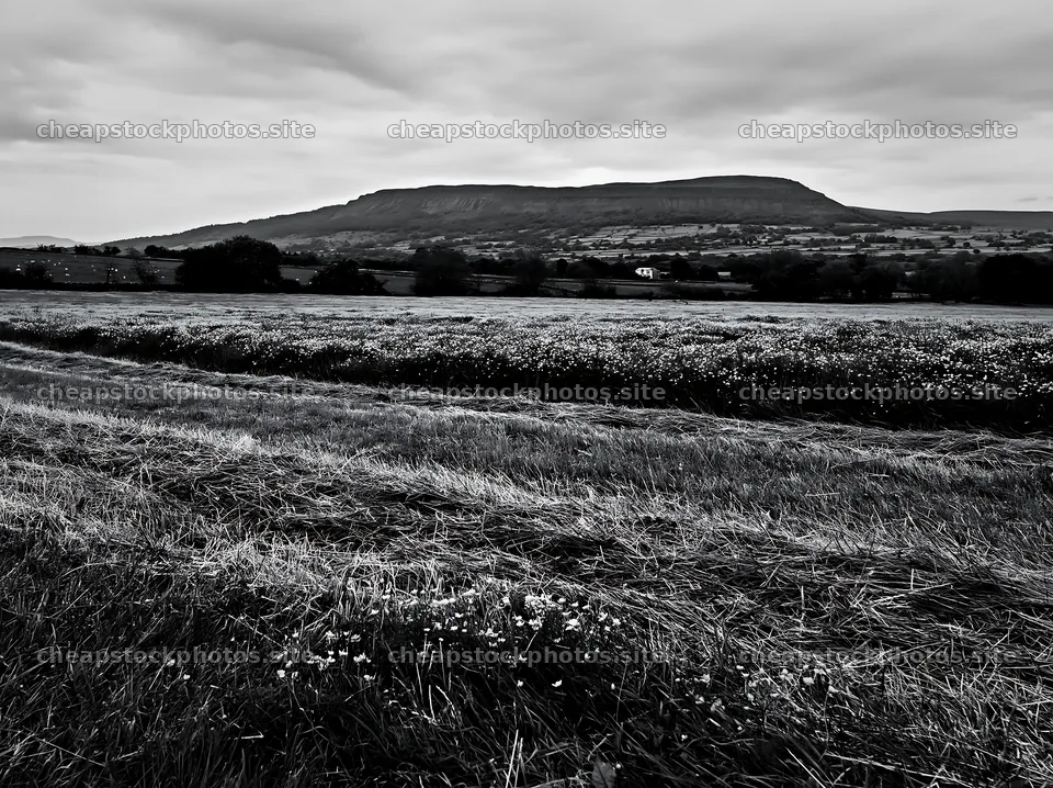 Yorkshire Dales meadows with hills in the background – stock photos 9174x6866