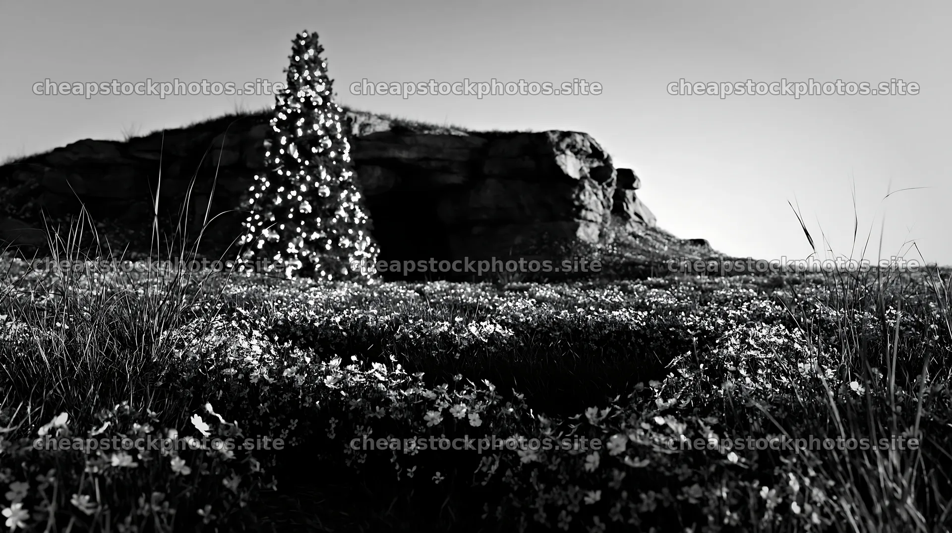 Christmas tree beside cave in meadow – stock photos 10608x5938