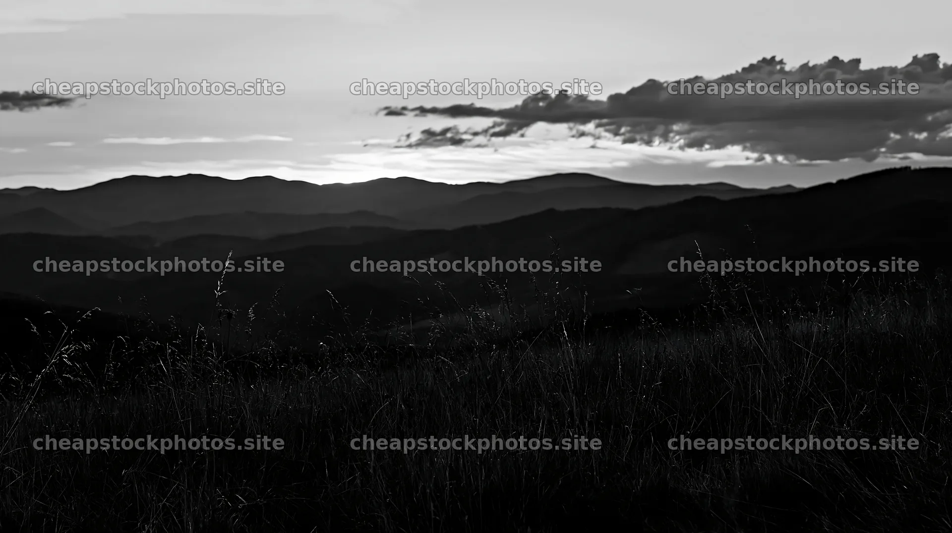 Regenerative meadow at sunset with mountain backdrop – stock photos 10608x5938