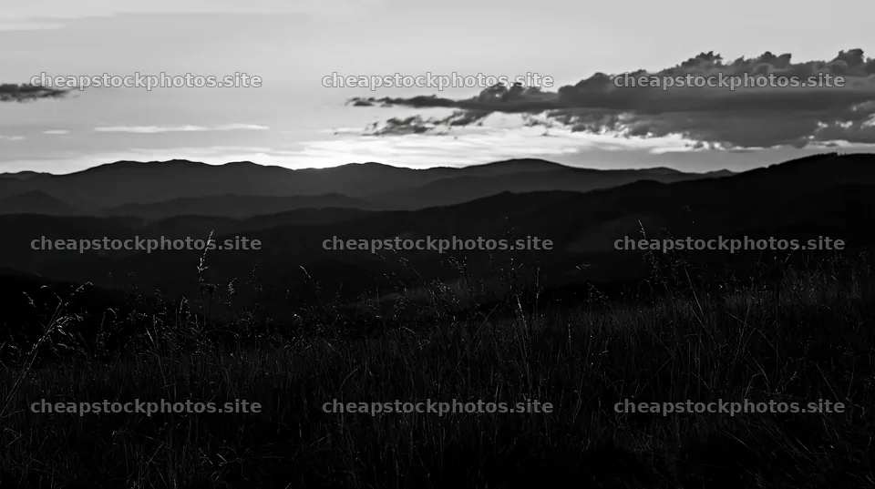 Regenerative meadow at sunset with mountain backdrop – stock photos 10608x5938