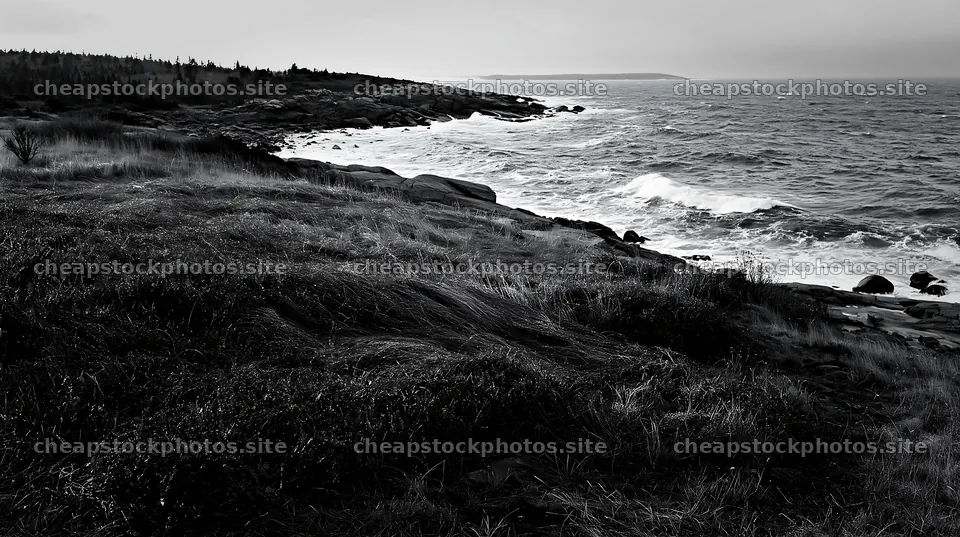 Frost-touched meadow at the coastal edge during a cloudy day – stock photos 10608x5938