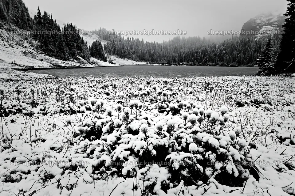 Snow-covered tarn meadow in winter landscape near forest – stock photos 9722x6480