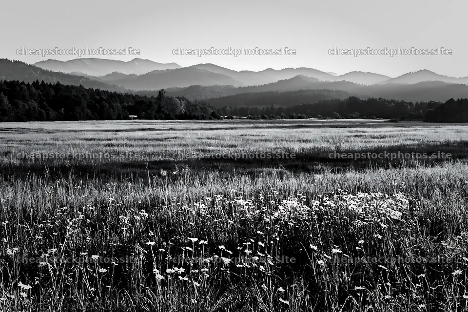 German foothill meadow with wildflowers and distant mountains – stock photos 9722x6480