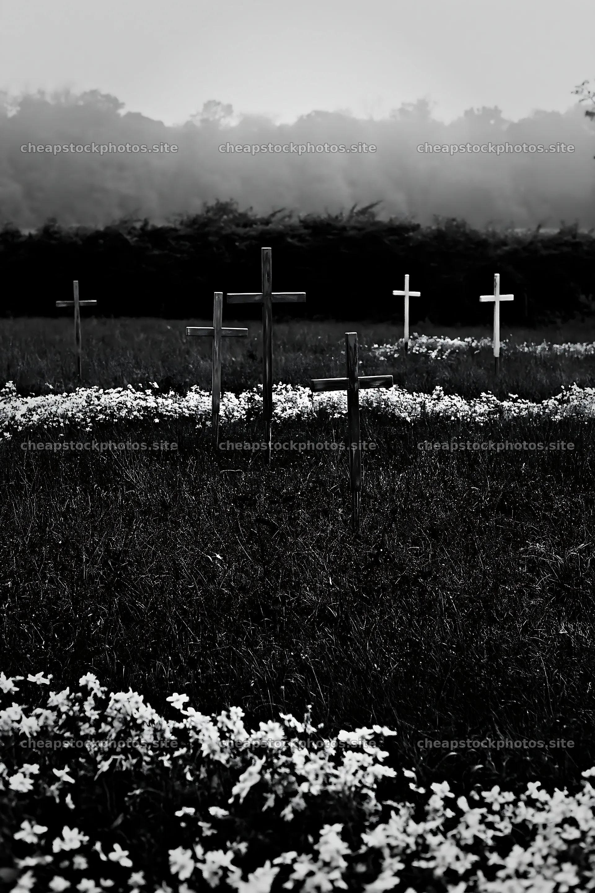Christian crosses among yellow flowers in a meadow – stock photos 6480x9722
