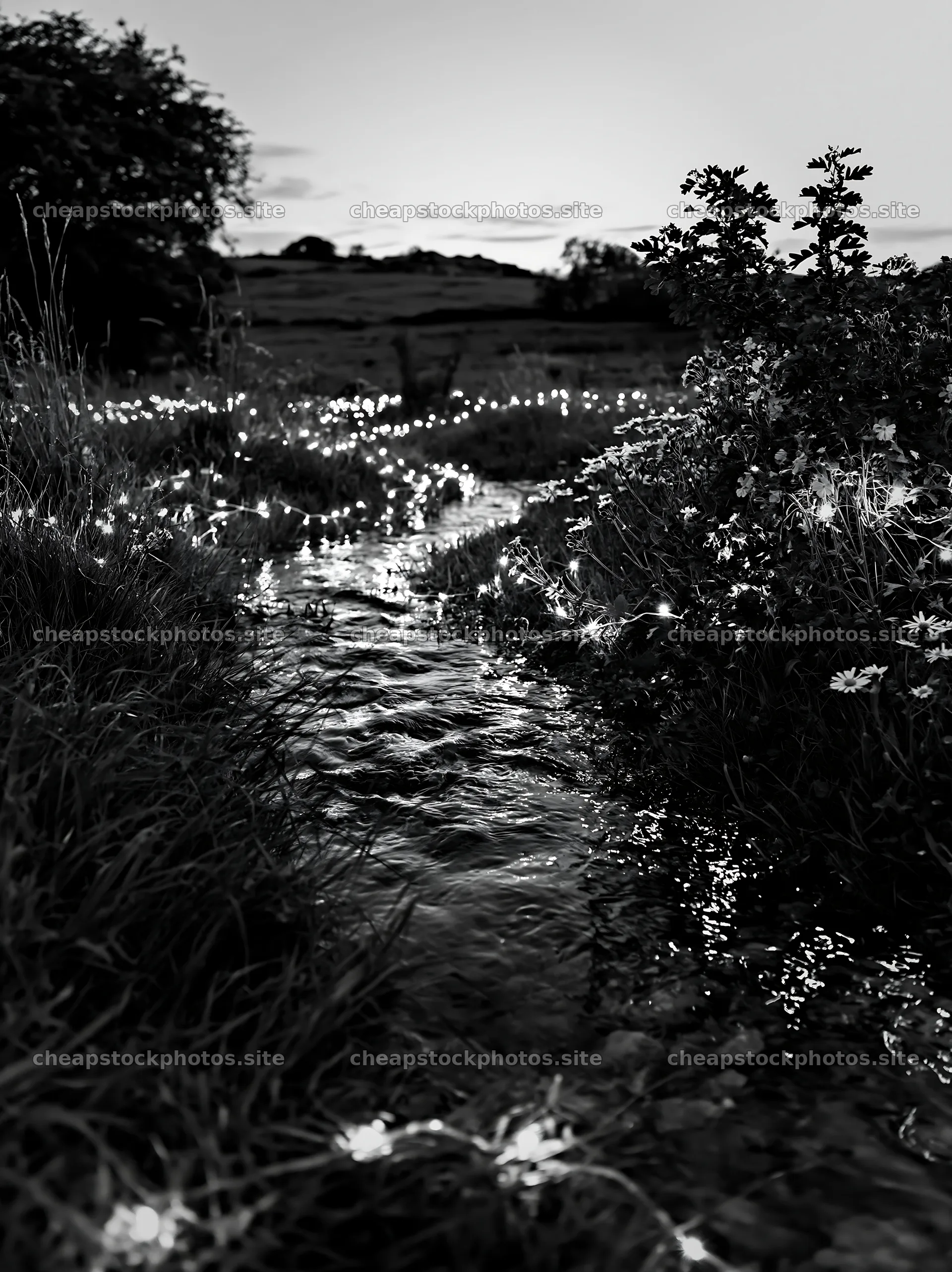 Christmas lights beside stream in meadow – stock photos 6866x9174