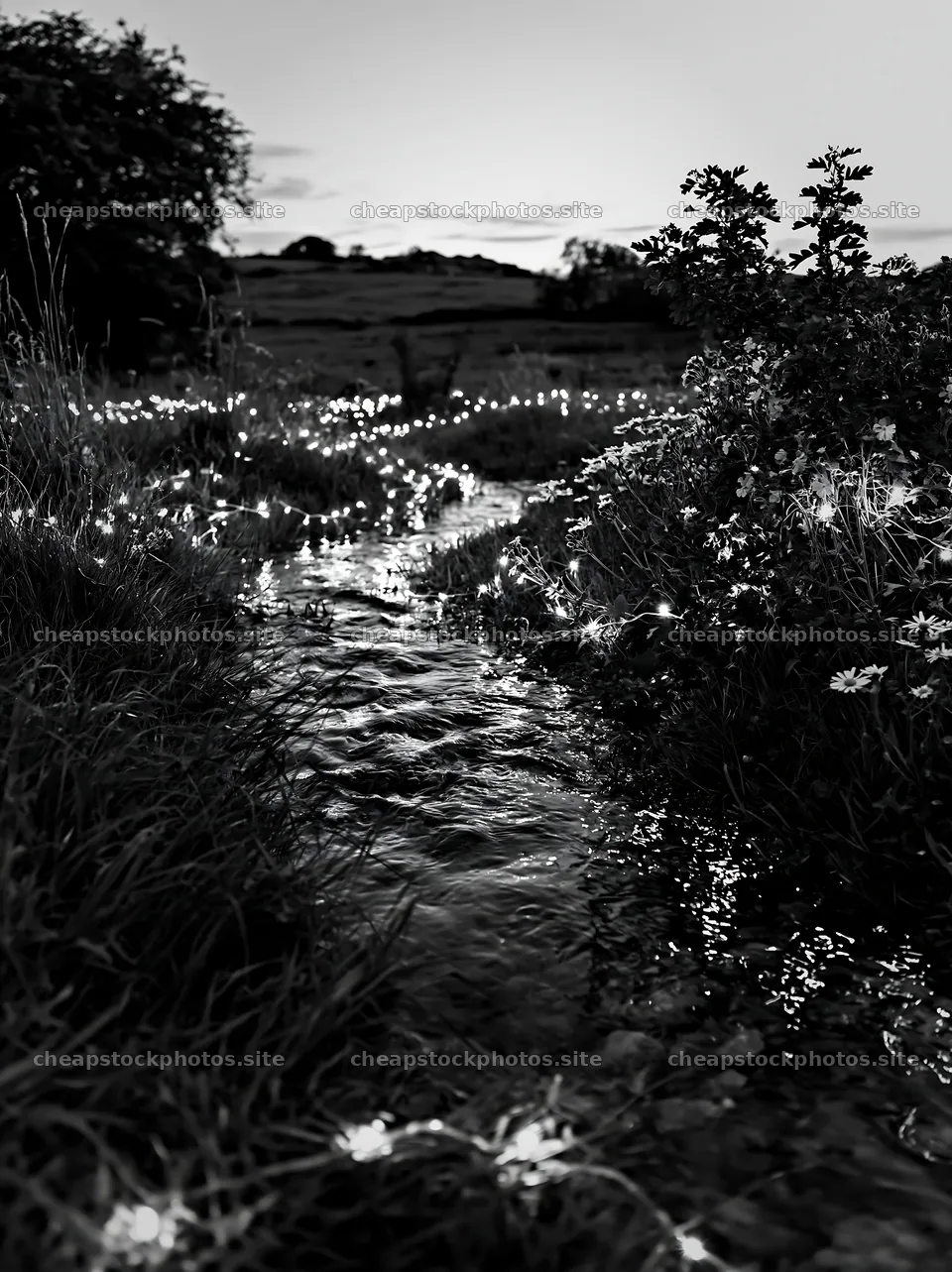 Christmas lights beside stream in meadow – stock photos 6866x9174