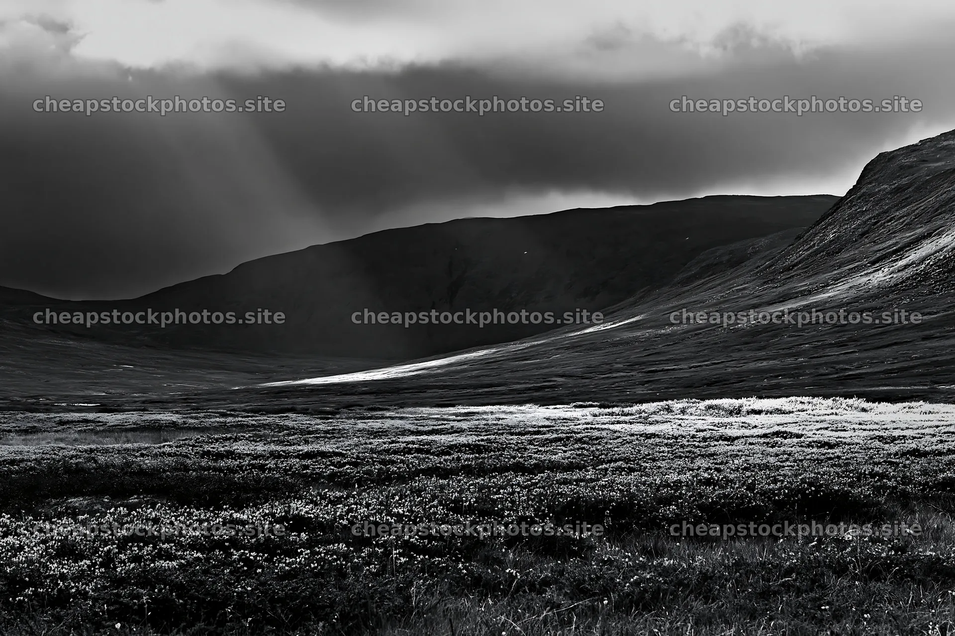 Sunbeams shining on Jotunheimen valley meadow – stock photos 9722x6480