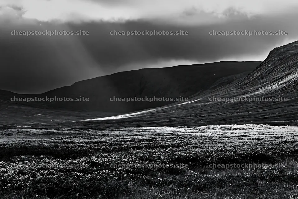 Sunbeams shining on Jotunheimen valley meadow – stock photos 9722x6480