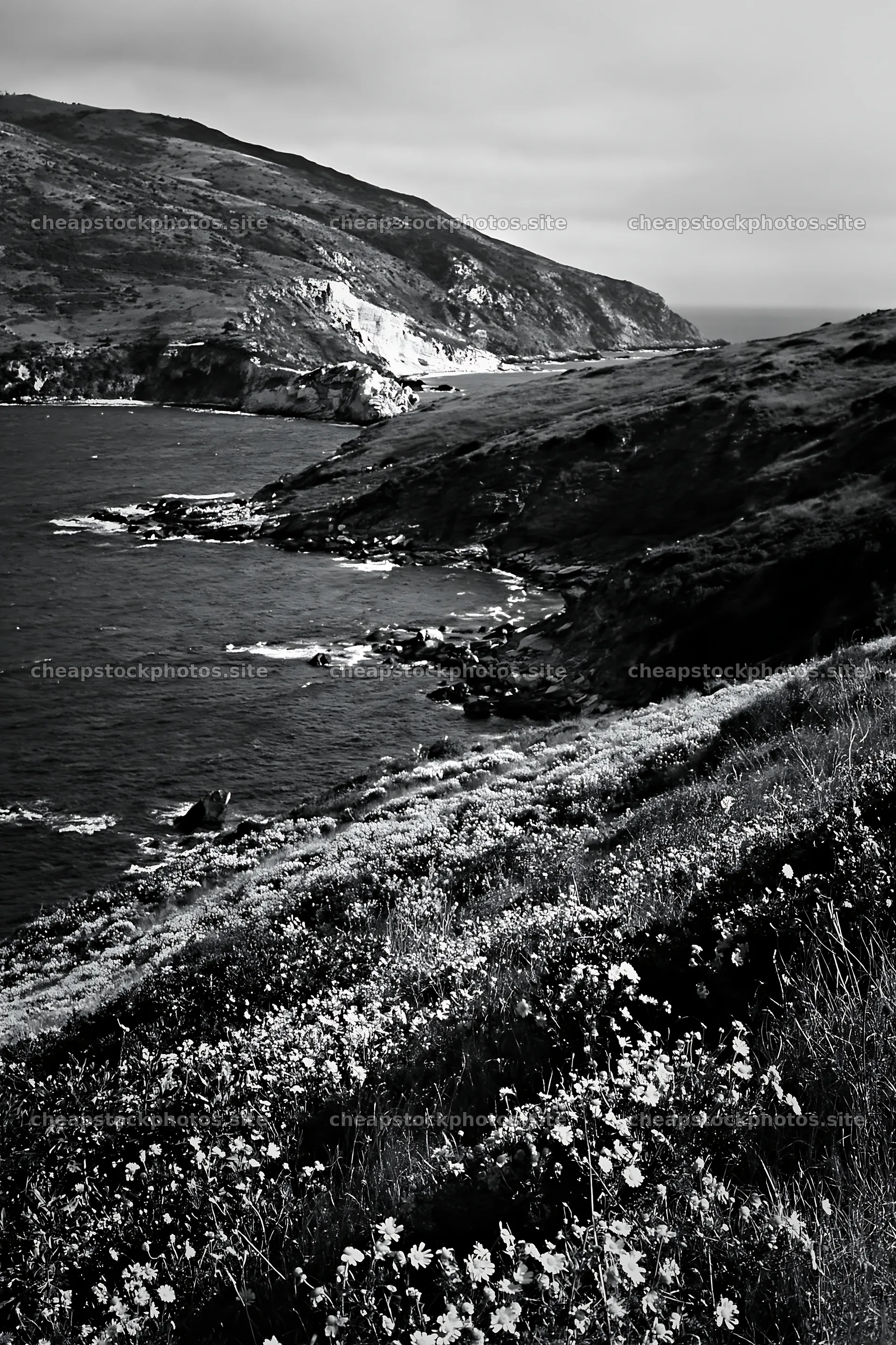 Italian meadow along rocky coast with ocean view – stock photos 6480x9722