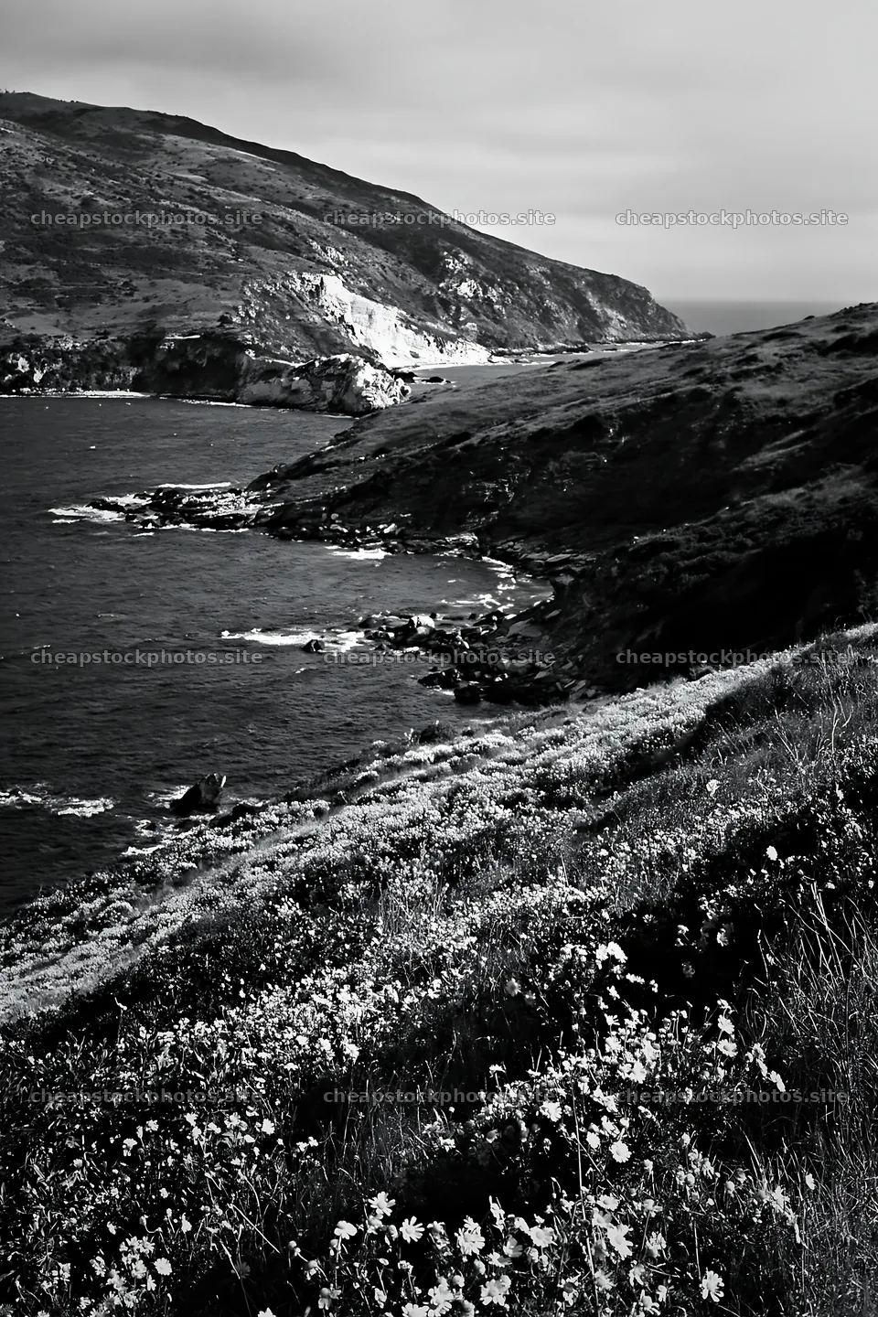 Italian meadow along rocky coast with ocean view – stock photos 6480x9722