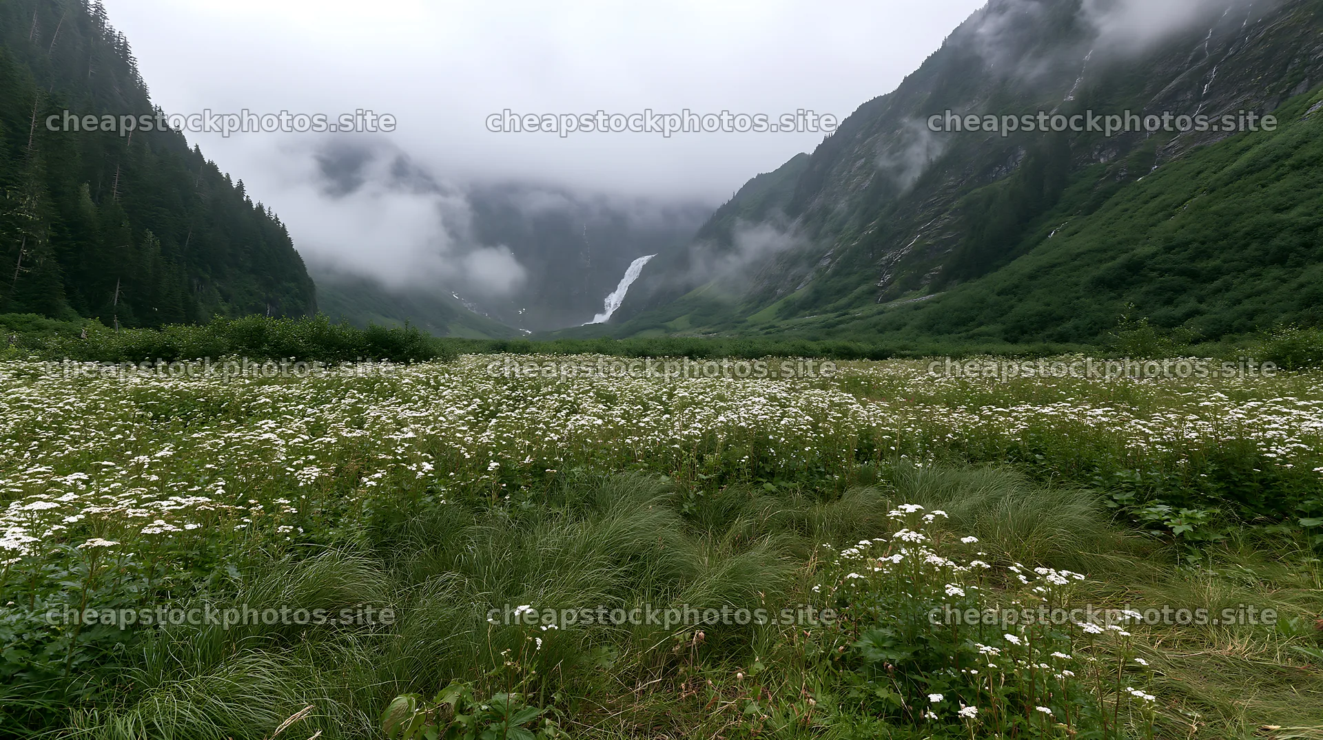 Misty mountains with waterfall and meadow filled with wildflowers – stock photos 10608x5938