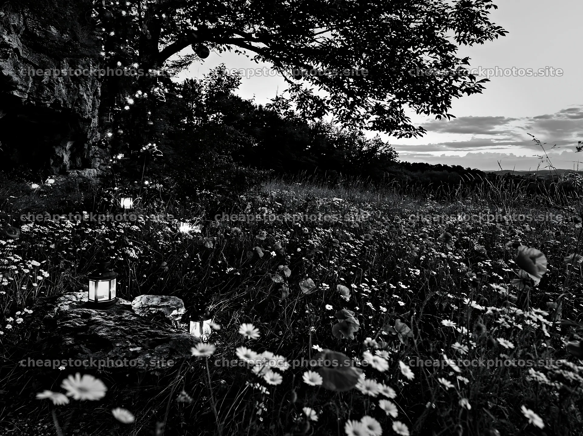 Christmas lanterns shining in meadow by cave at dusk – stock photos 9174x6866