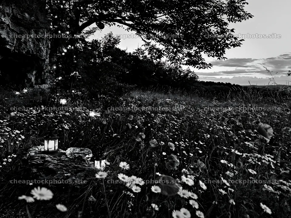 Christmas lanterns shining in meadow by cave at dusk – stock photos 9174x6866