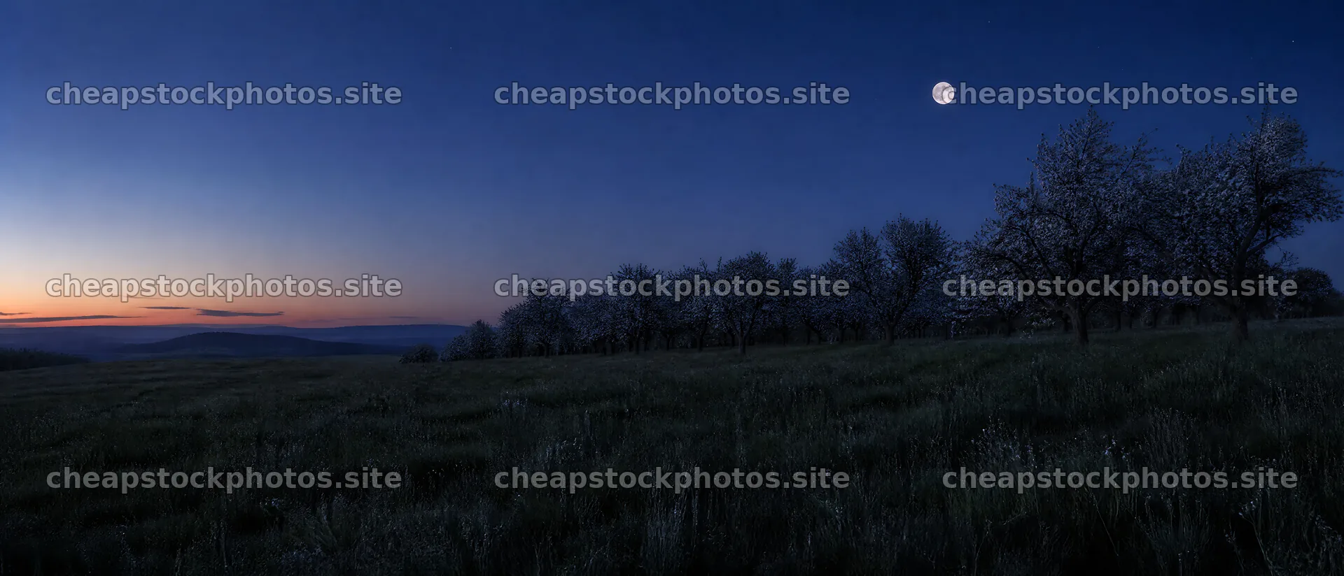 View of apple blossom meadow under a rising moon – stock photos 12116x5200