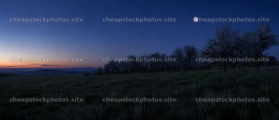 View of apple blossom meadow under a rising moon – stock photos 12116x5200