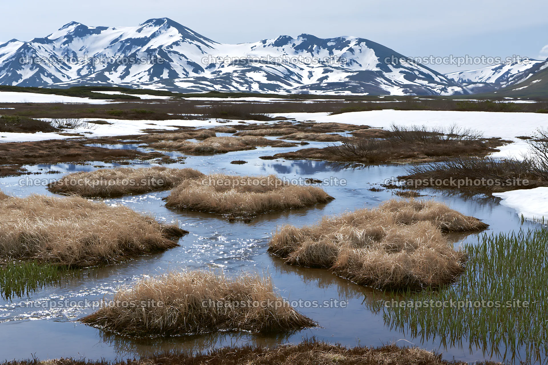 Akita snowmelt meadow with silver grasses in a mountain setting – stock photos 9722x6480