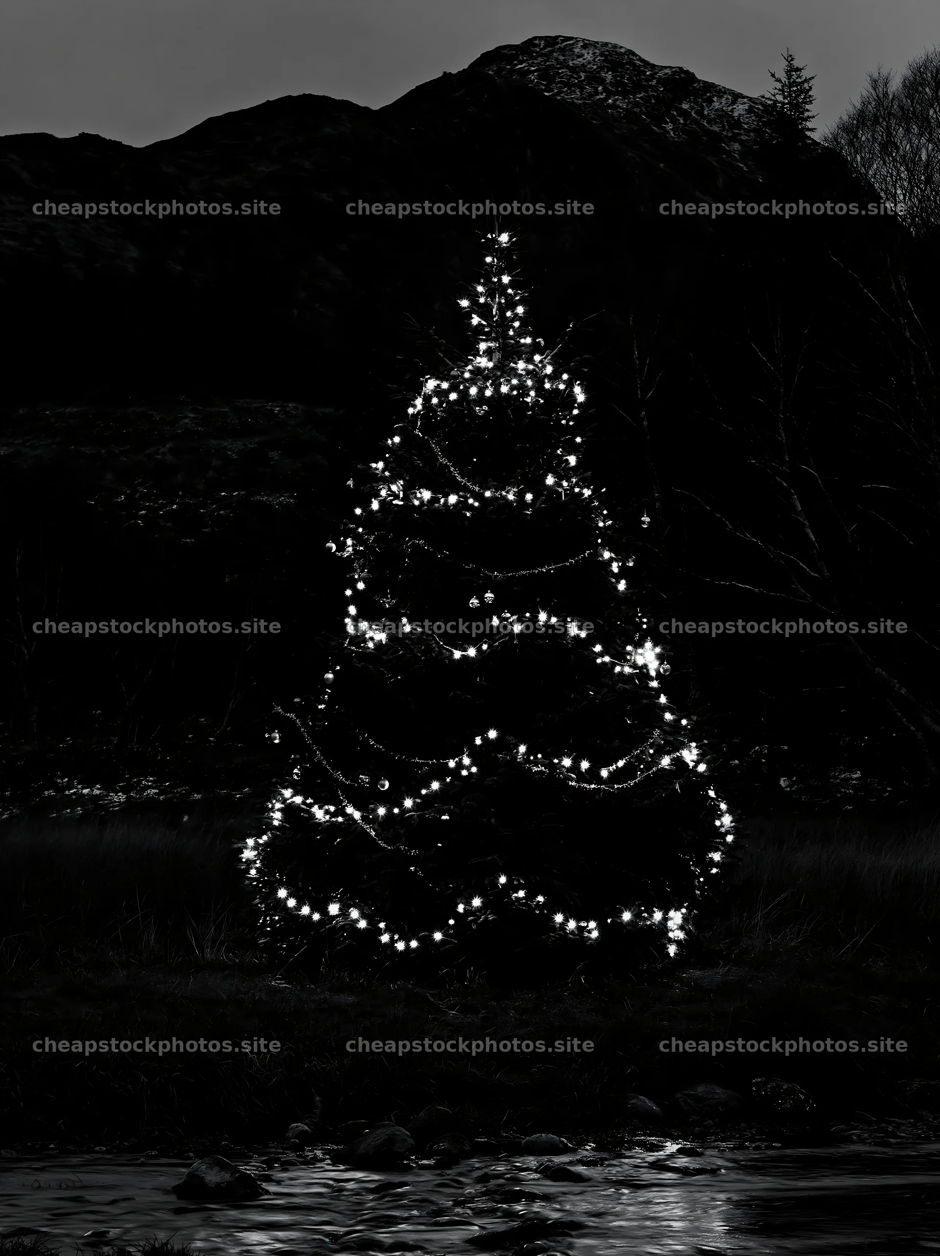 Christmas tree with lights beside stream in meadow – stock photos 6866x9174
