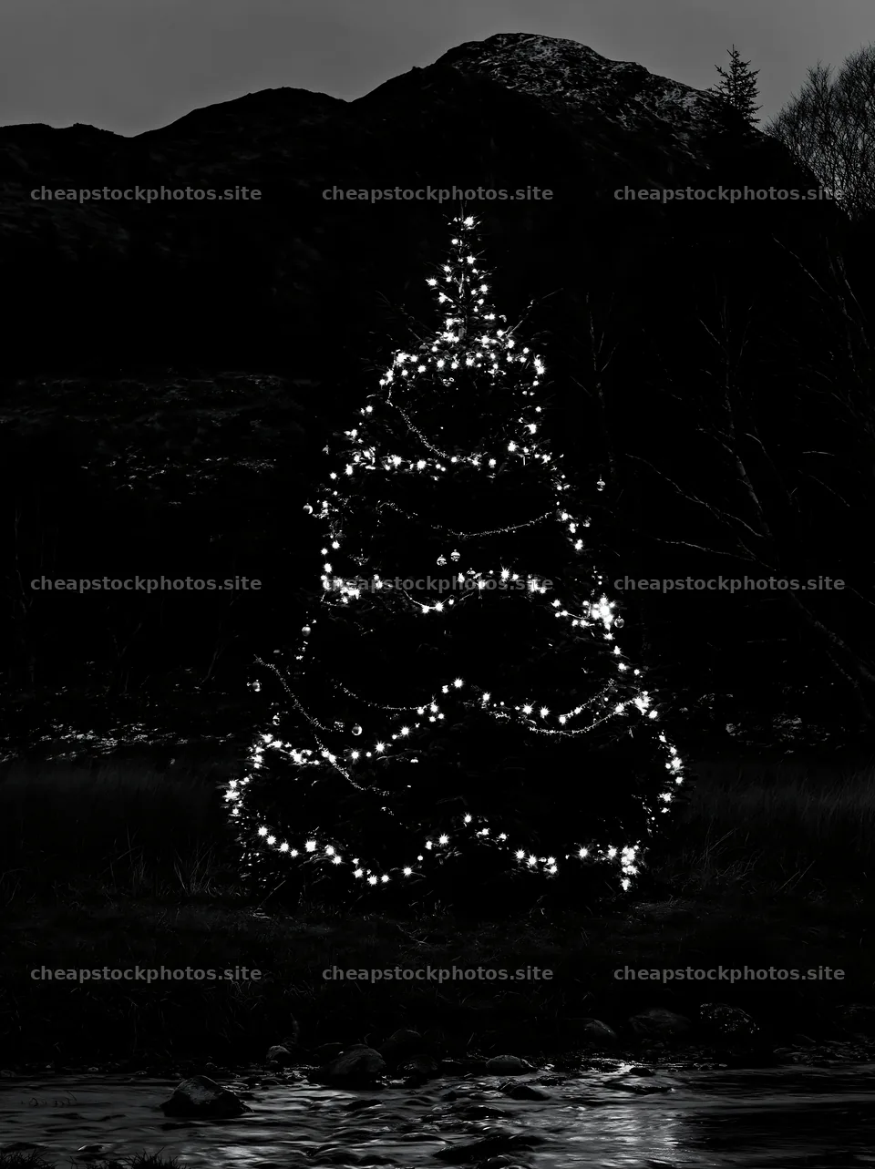 Christmas tree with lights beside stream in meadow – stock photos 6866x9174