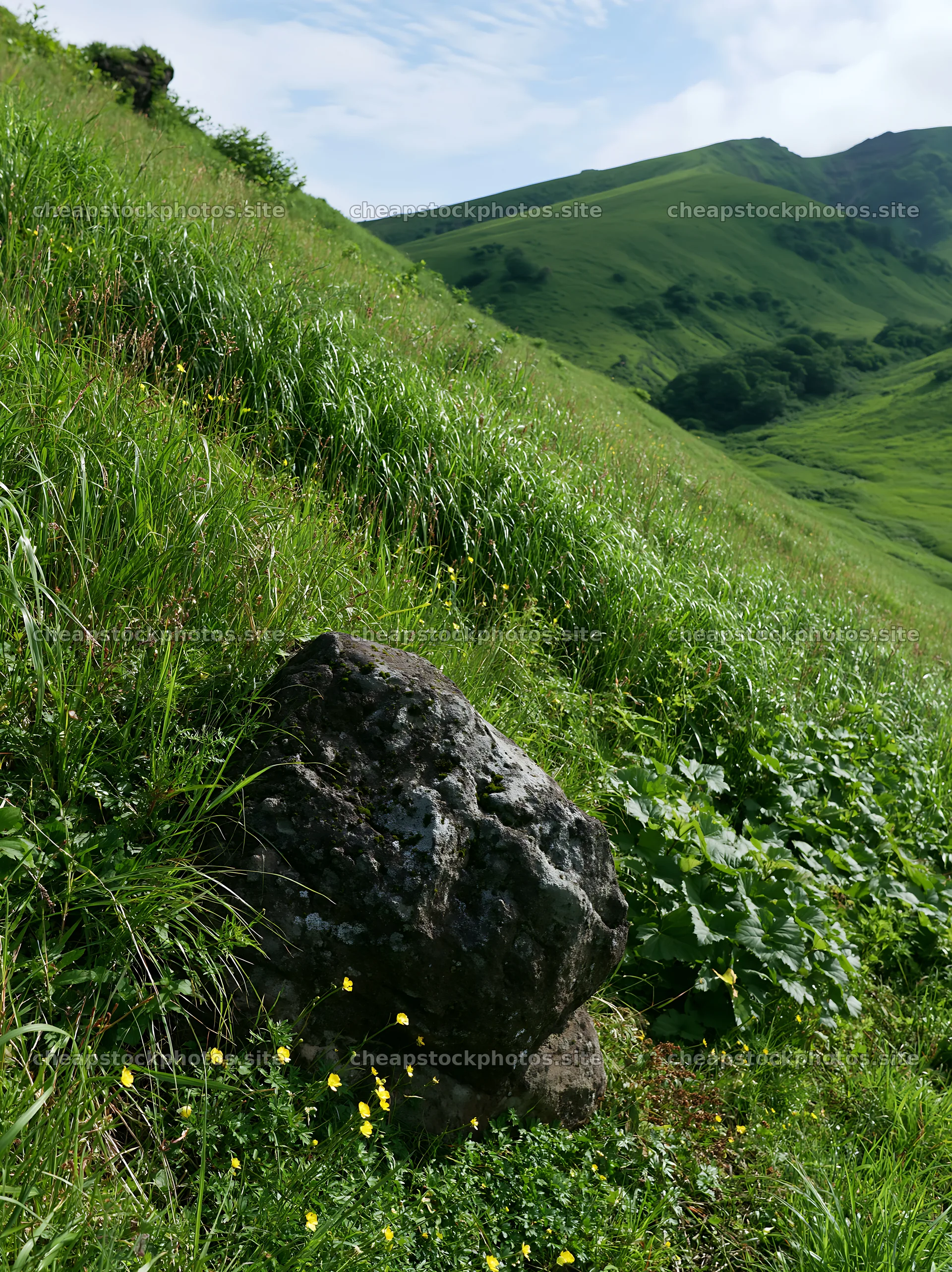 Aomori climate resilient meadow with boulder under blue sky – stock photos 6866x9174