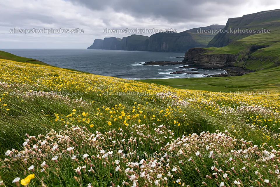 Rolling valley with meadows and cliffs by the ocean – stock photos 9722x6480