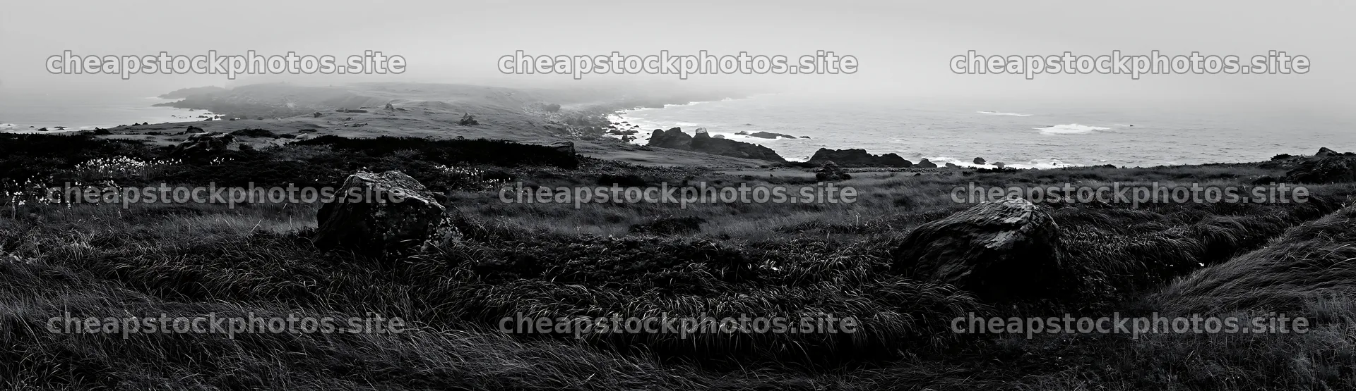Aomori climate resilient meadow with boulder – stock photos 14762x4268