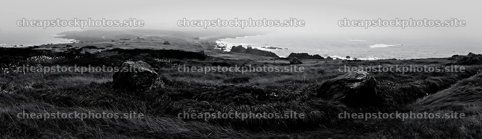 Aomori climate resilient meadow with boulder – stock photos 14762x4268