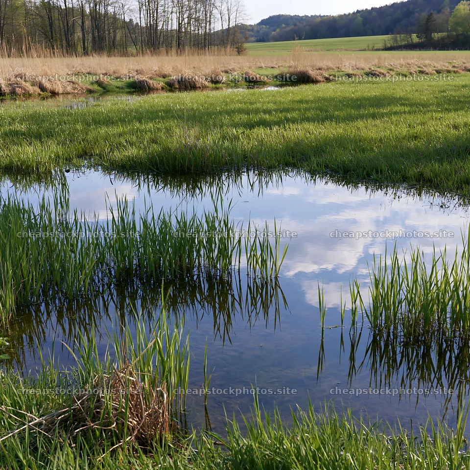 Saga floodplain meadow with reflection in water – stock photos 7938x7938