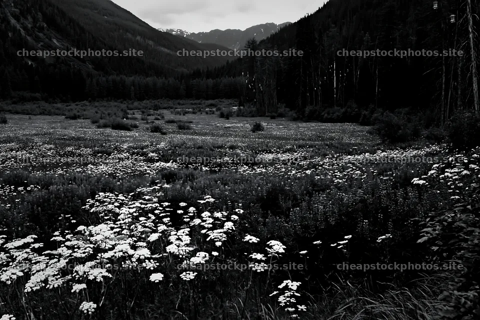 Christmas lights across mountain valley meadow – stock photos 9722x6480