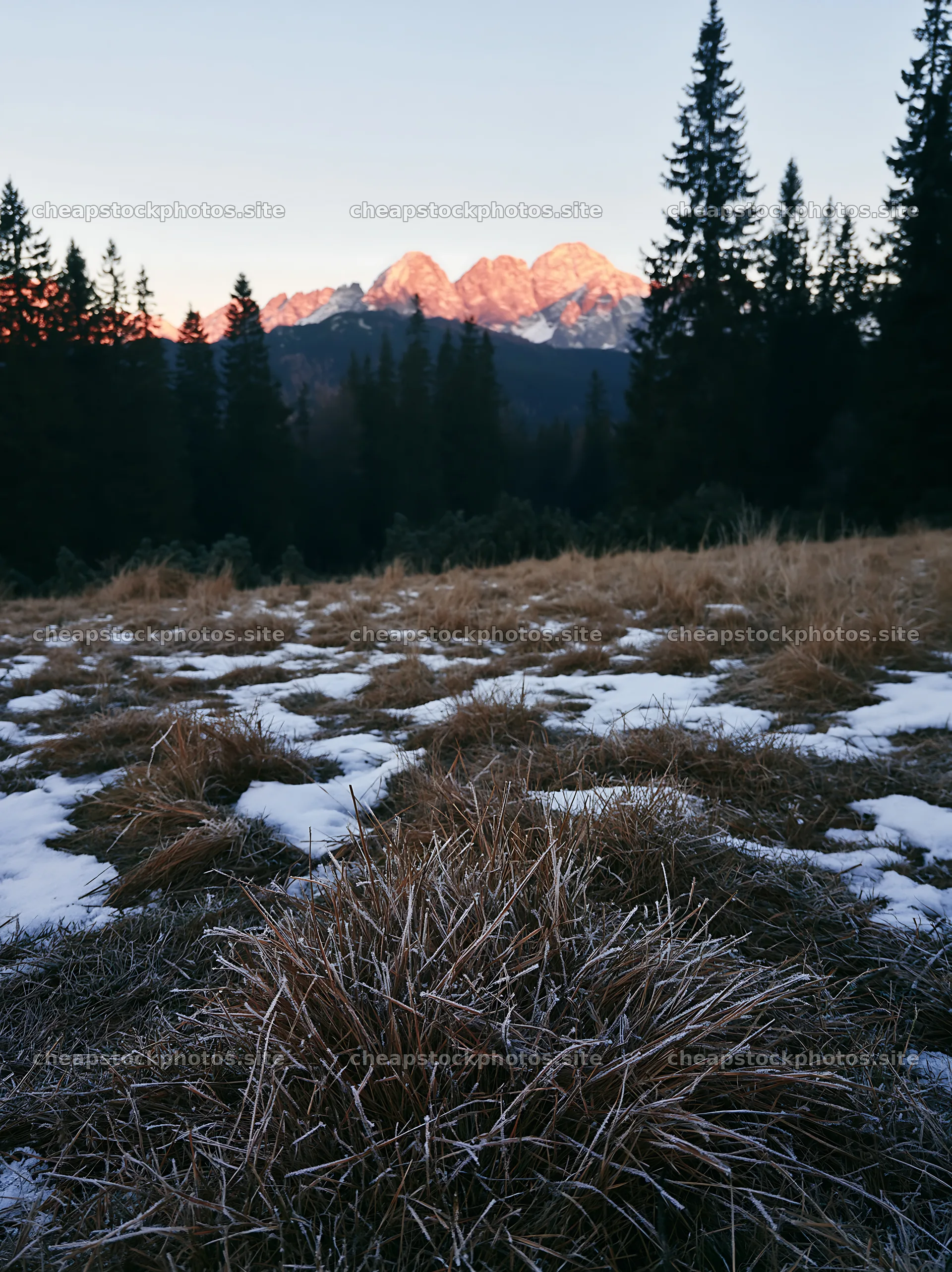 Spring snowmelt in Tatra Mountains meadow at sunrise – stock photos 6866x9174