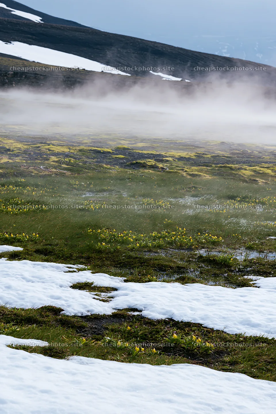 Torres del Paine meadow with snow and mist in spring – stock photos 6480x9722