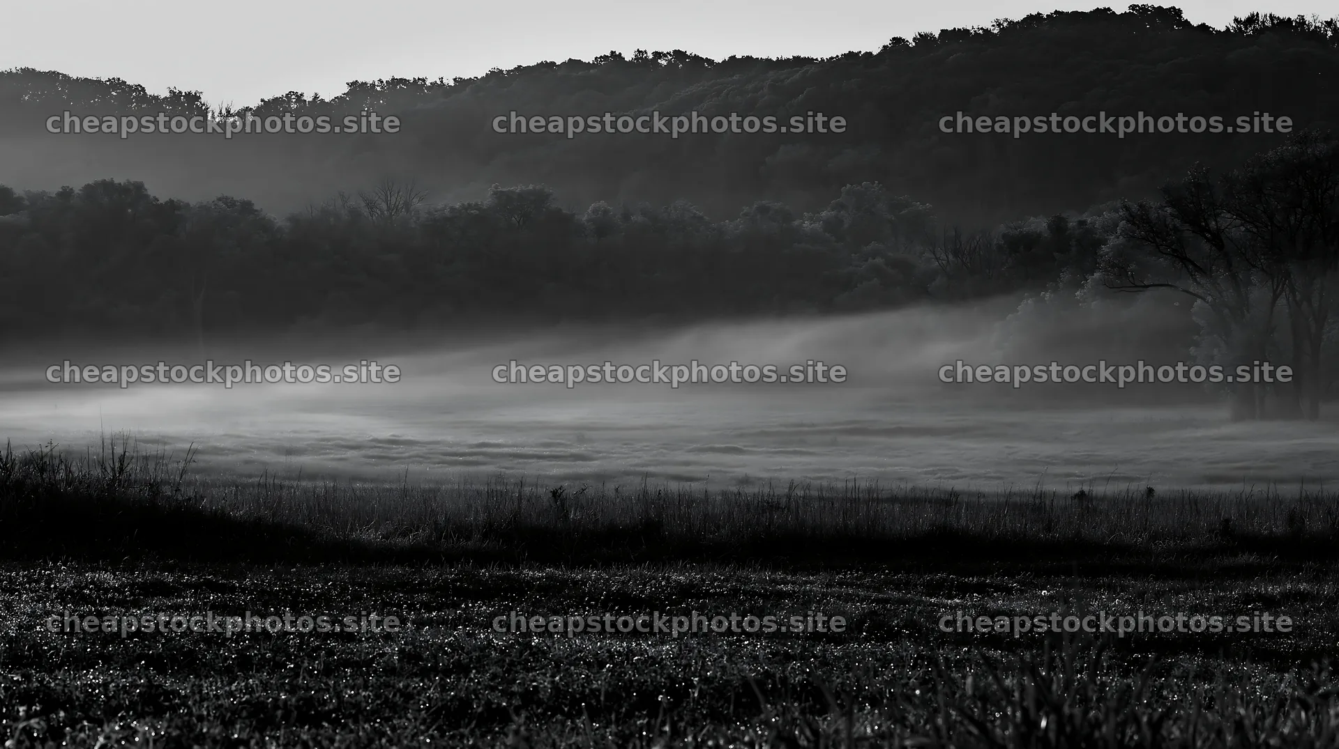 Clover meadow covered in dew at dawn – stock photos 10608x5938