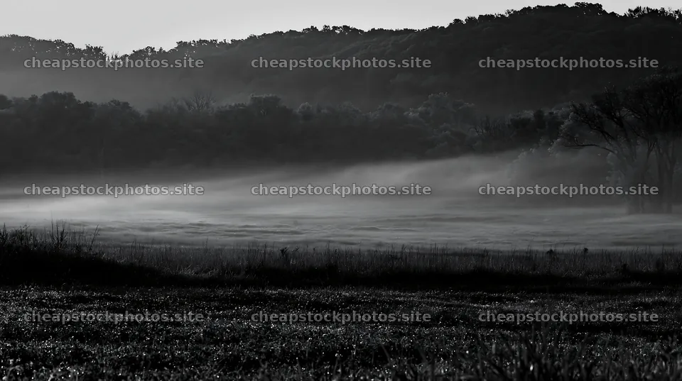Clover meadow covered in dew at dawn – stock photos 10608x5938