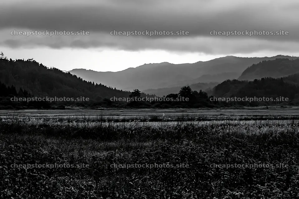 Fukui native grass meadow rain droplets sparkle in the landscape – stock photos 9722x6480