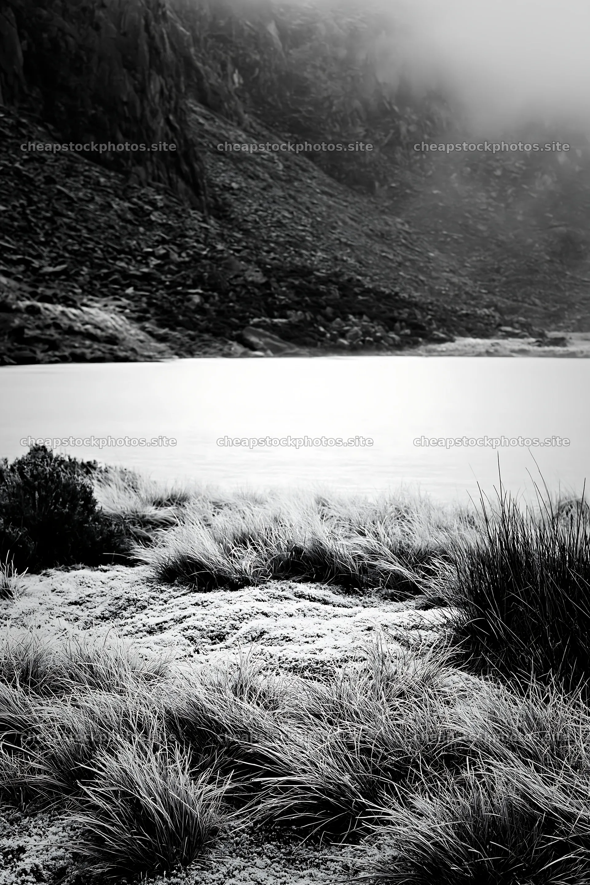 Frozen tarn meadow with grass and rocky background – stock photos 6480x9722