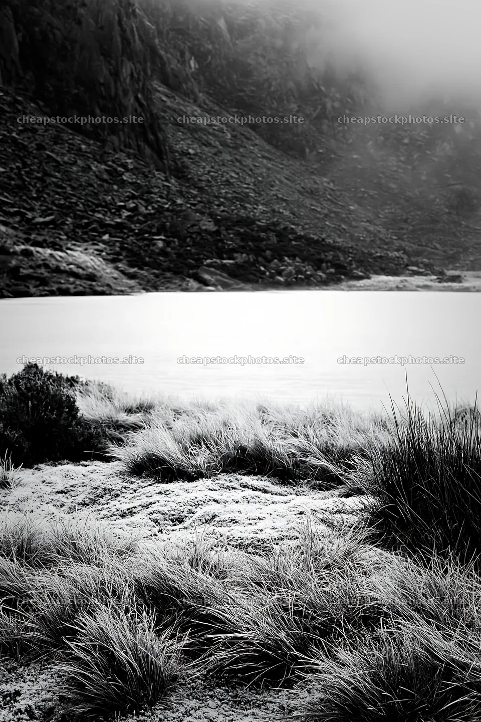 Frozen tarn meadow with grass and rocky background – stock photos 6480x9722