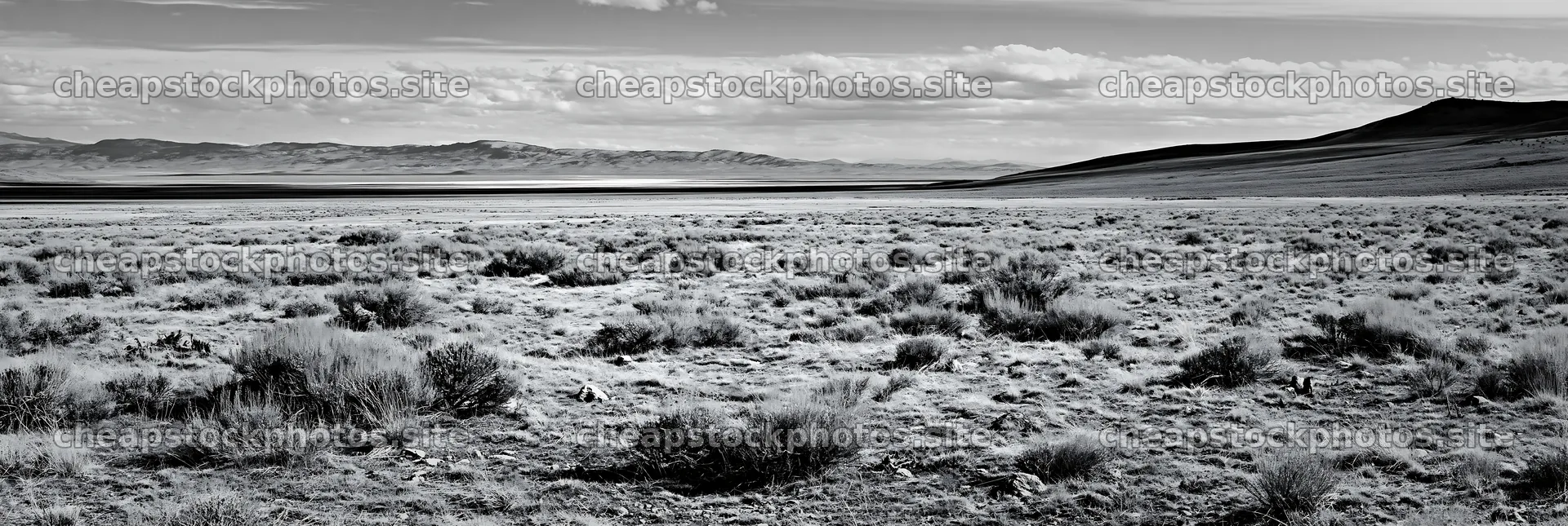 Drought-tolerant meadow landscape in black and white – stock photos 13690x4602