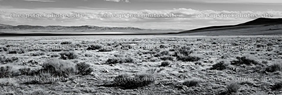 Drought-tolerant meadow landscape in black and white – stock photos 13690x4602
