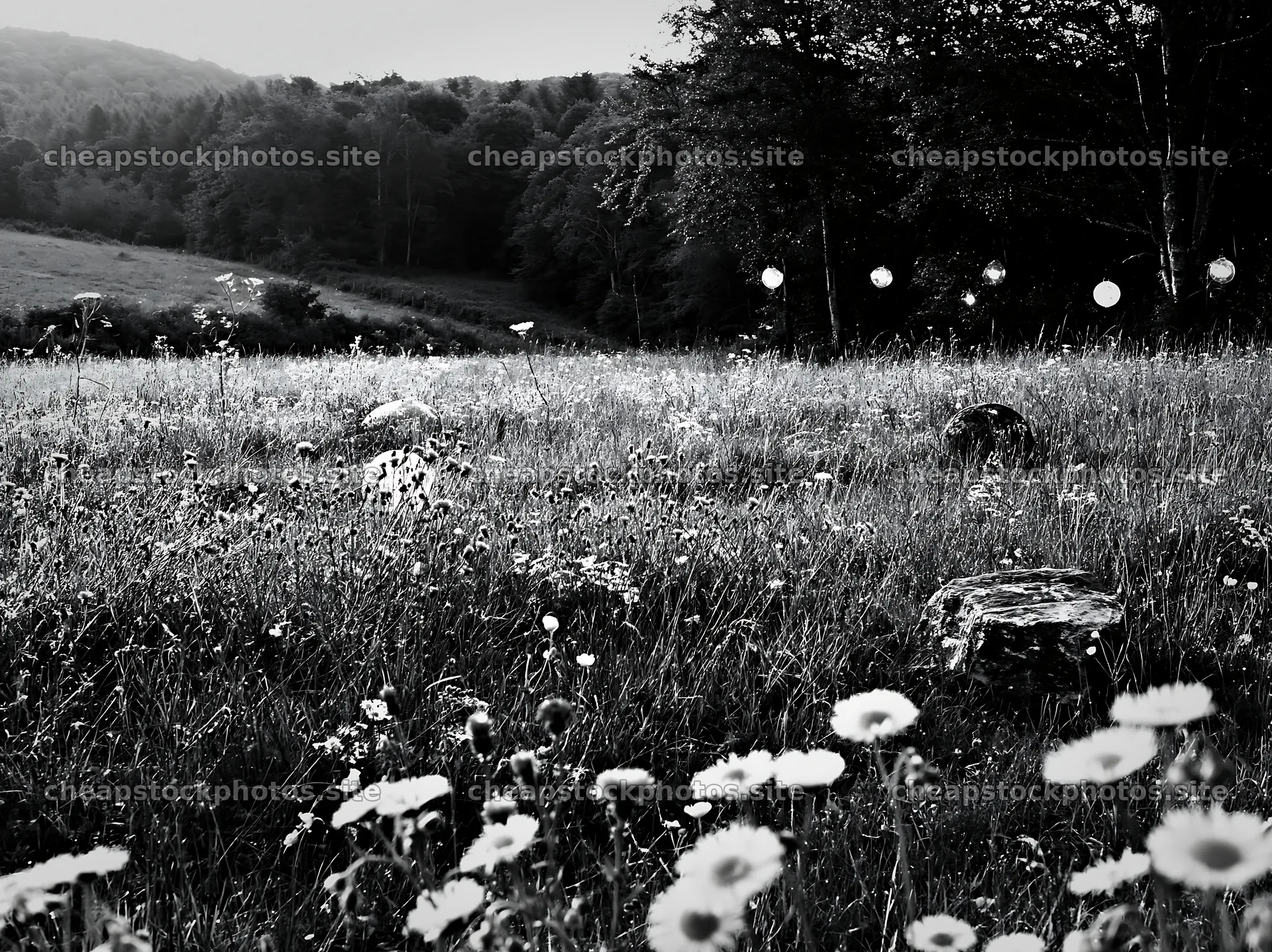 Expansive Christmas meadow with restored stones and baubles – stock photos 9174x6866