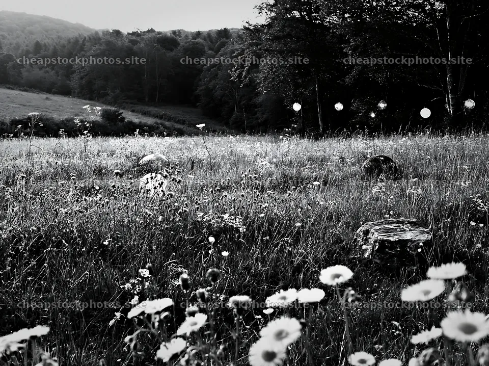 Expansive Christmas meadow with restored stones and baubles – stock photos 9174x6866