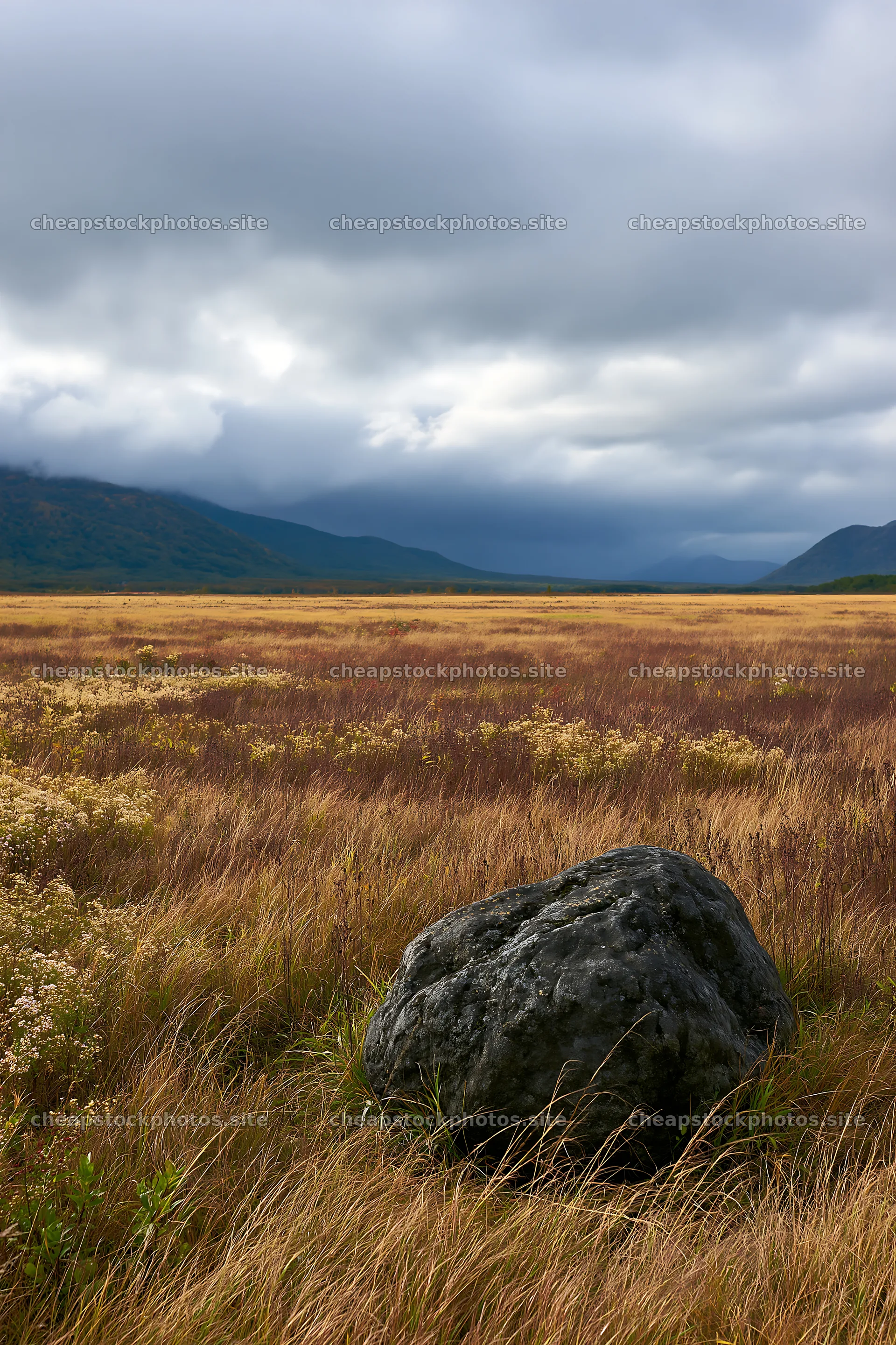 Aomori climate resilient meadow with boulder – stock photos 6480x9722