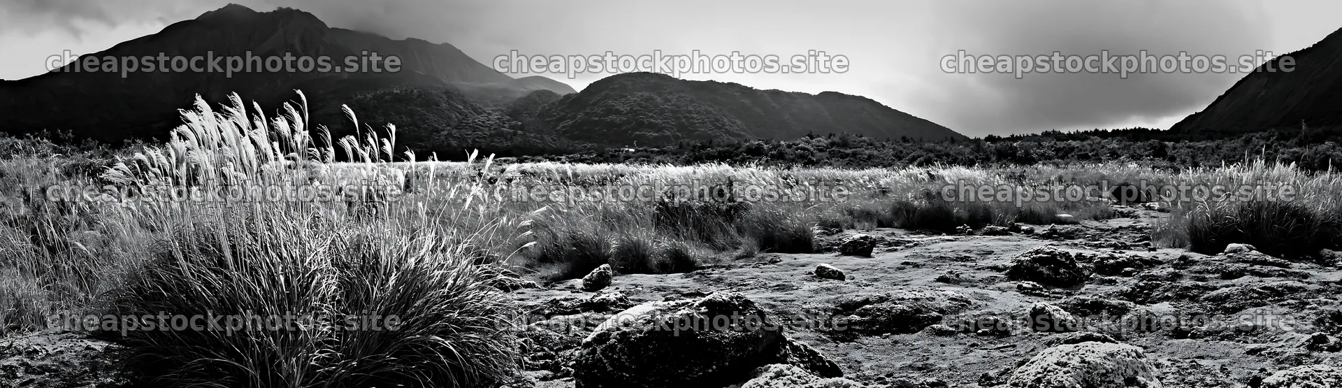 Kagoshima volcanic meadow with pumice and grass – stock photos 14762x4268