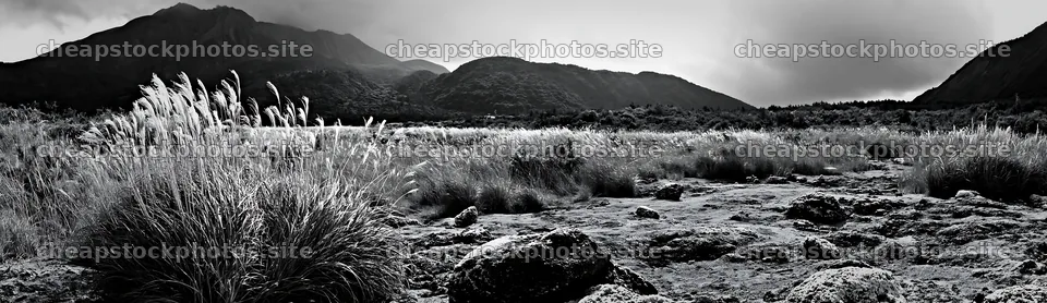 Kagoshima volcanic meadow with pumice and grass – stock photos 14762x4268