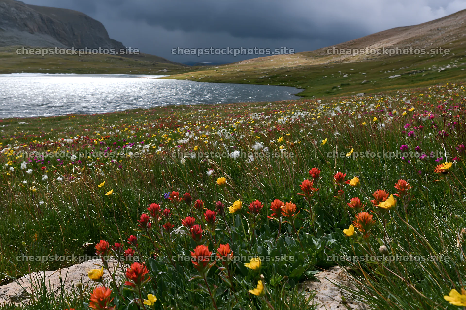 Frozen tarn meadow with wildflowers and dark clouds – stock photos 9722x6480
