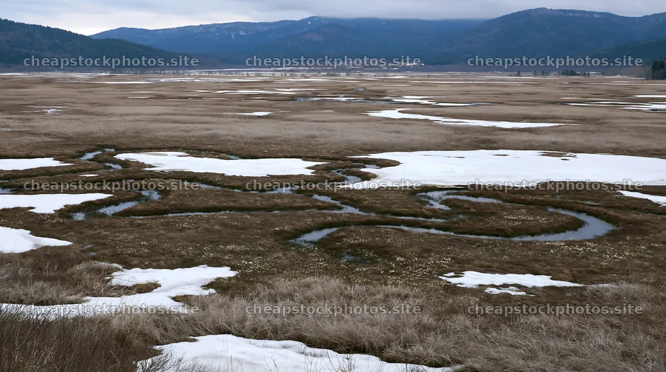 Akita snowmelt meadow with silver grasses and flowing water – stock photos 10608x5938
