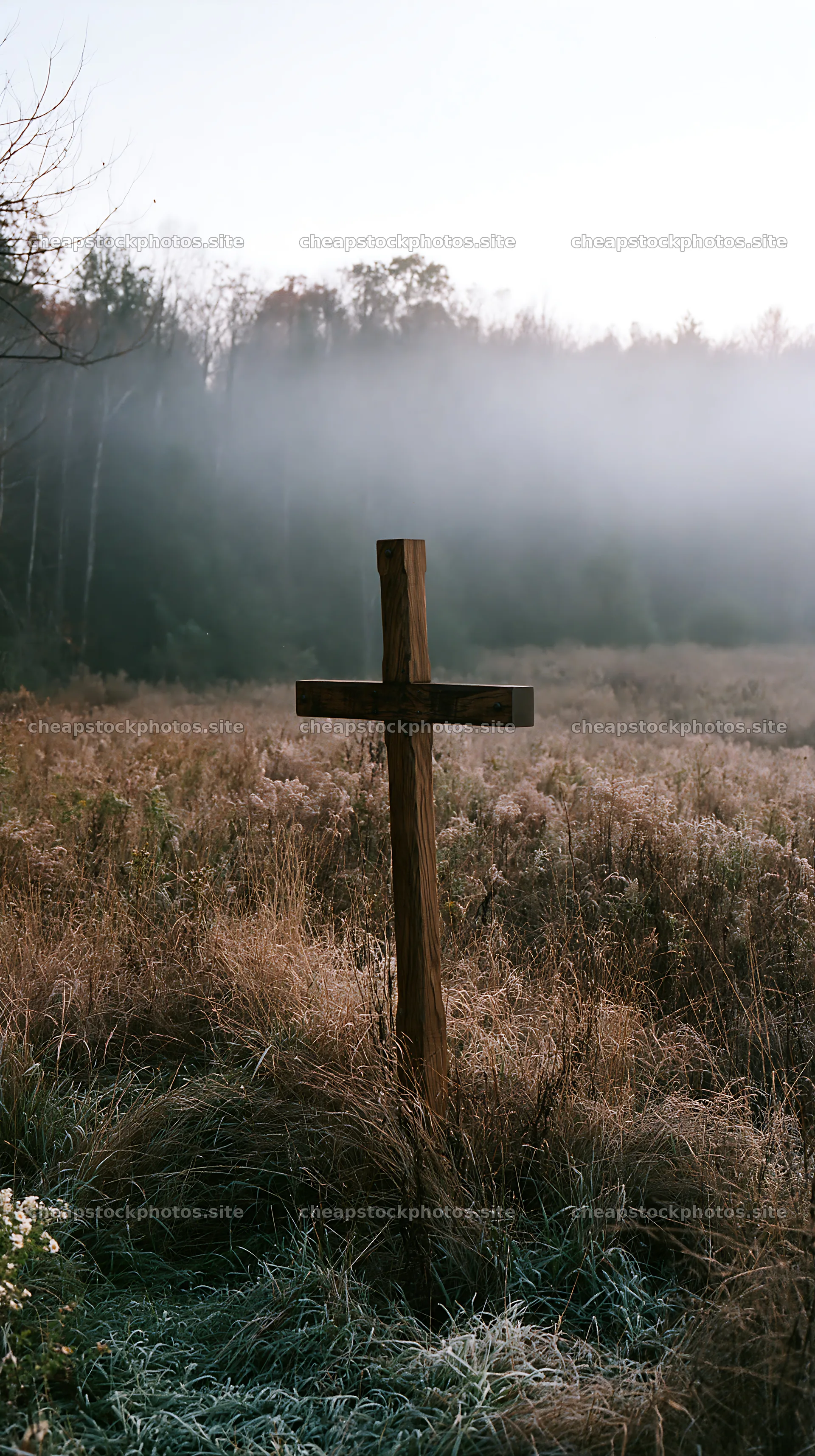 Carved oak cross in frosted meadow at dawn – stock photos 5938x10608