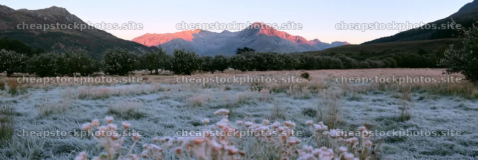 Highland apple meadow at sunrise with mountains in the background – stock photos 13690x4602