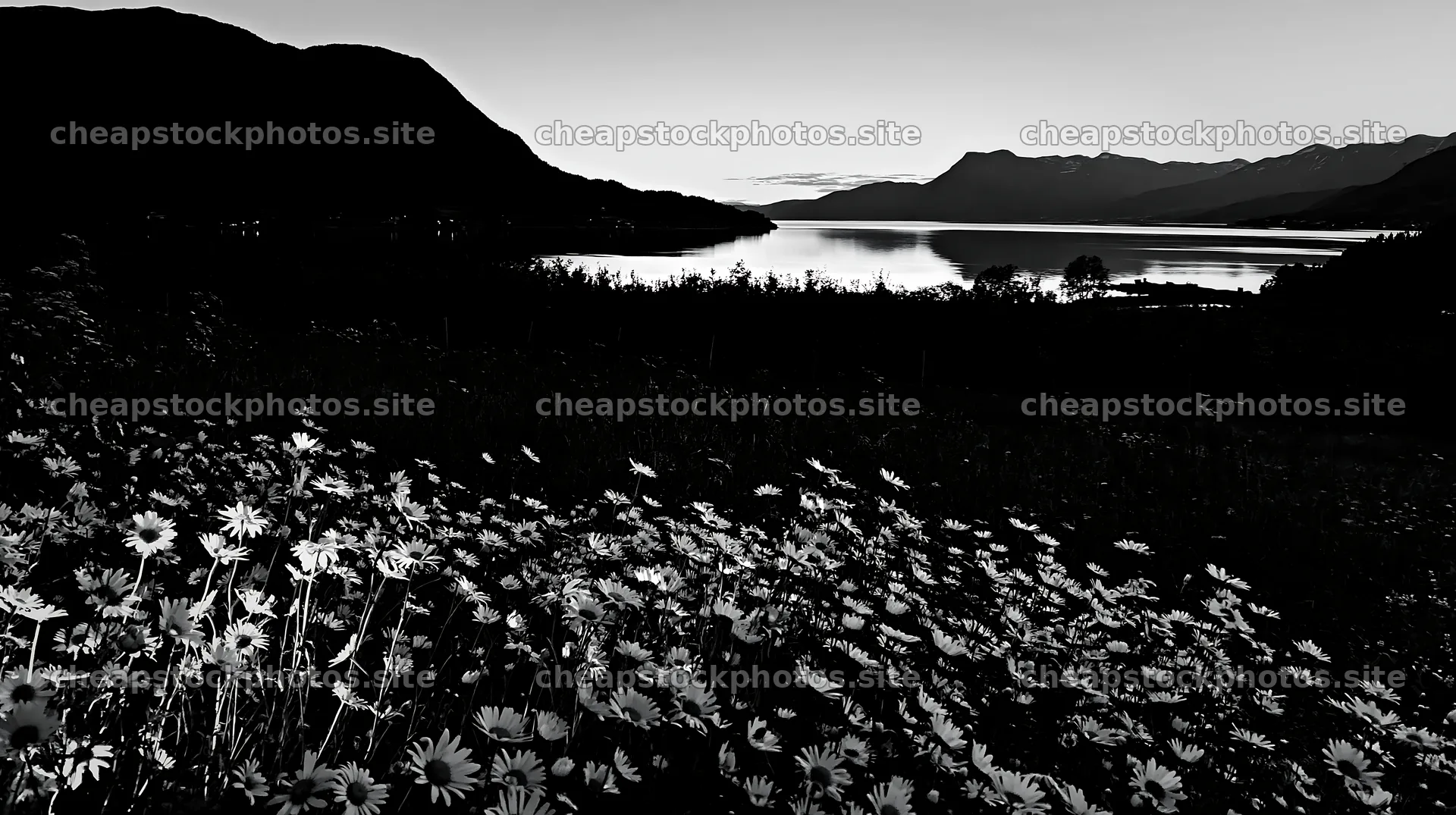 Fjord orchard meadow under a sunset sky – stock photos 10608x5938
